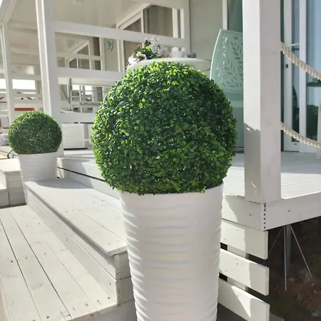 Le Sul Mare 1.0 Holiday home *